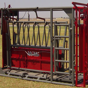 WW Beefmaster XL-2VG