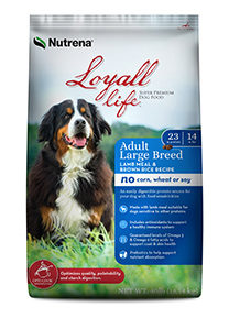 Loyall Life Adult...